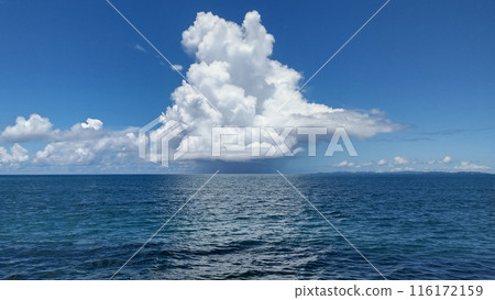 漂浮在沖繩海上的積雨雲和雨柱(豐見城市、豐崎海濱公園) 漂浮在沖繩海上的積雨雲和雨柱(豐見城市、豐崎海濱公園) 116172159
