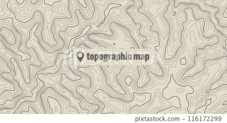 Topographic map with contour lines. Geographic terrain grid, relief height elevation. Ground path pattern. Travel and navigation, cartography design element. Vector illustration Topographic map with contour lines. Geographic terrain grid, relief height elevation. Ground path pattern. Travel and navigation, cartography design element. Vector illustration 116172299