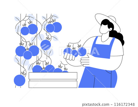Tomato greenhouse abstract concept vector illustration. 116172348