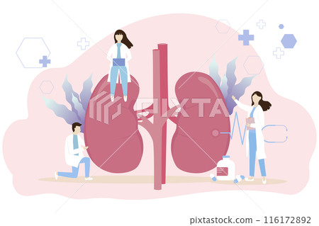 Kidney healthcare vector concept. Kidney healthcare vector concept. 116172892