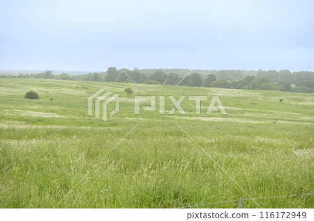 Tokachi Ranch Observatory, Hokkaido 116172949