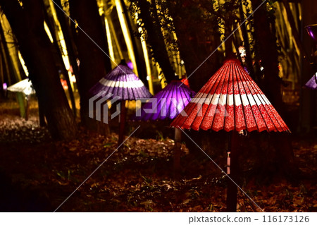 Illumination Hiroshima Bihoku Kyuryo Park 116173126