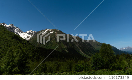 Majestic snow-capped mountain peaks and lush green valley Majestic snow-capped mountain peaks and lush green valley 116173249