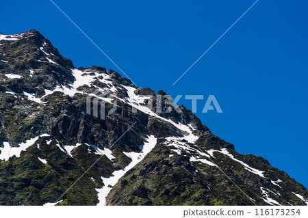 Snow-covered mountain peak with green forested slopes below. 116173254