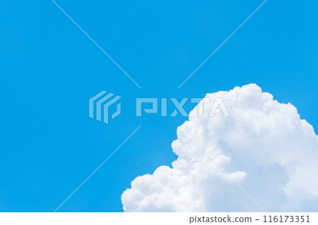 Summer blue sky Summer blue sky 116173351