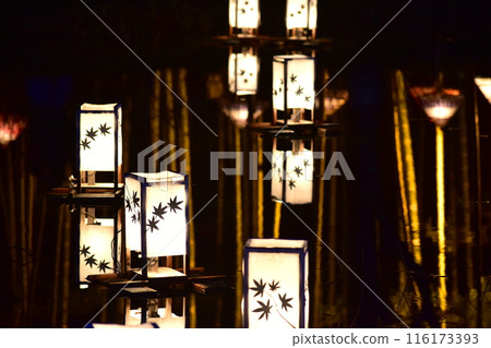 Illumination Hiroshima Bihoku Kyuryo Park Illumination Hiroshima Bihoku Kyuryo Park 116173393