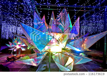 Shimane Yushien Illumination 116173619