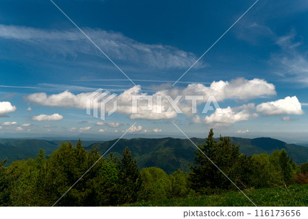 Expansive view mountain range with fluffy clouds. Expansive view mountain range with fluffy clouds. 116173656