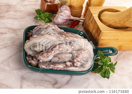 Raw cold octopus for cooking 116173880
