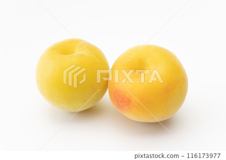 完全成熟的南高李果 116173977