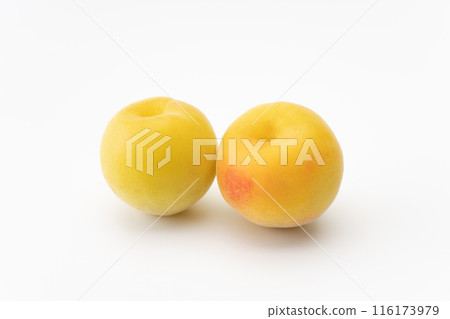 完全成熟的南高李果 完全成熟的南高李果 116173979