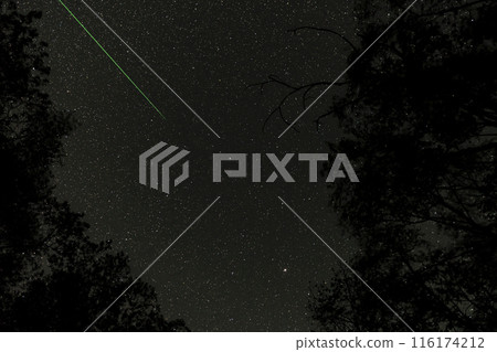 Starry sky with green laser beam framed by tree branches. 116174212