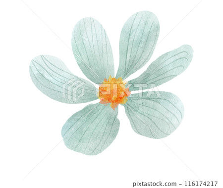 Mint green flower head 116174217