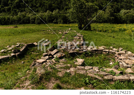 Ruins ancient structure in lush green field. 116174223