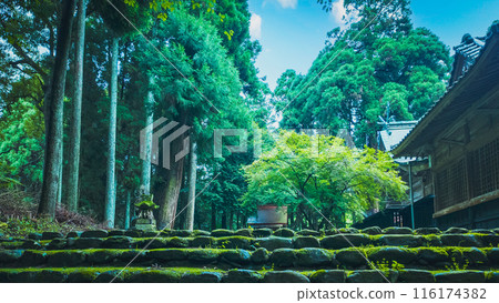 Akizuki Hachiman Shrine Pictures Akizuki Hachiman Shrine Pictures 116174382