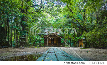 Tarui Shrine Pictures Tarui Shrine Pictures 116174471