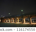 橫濱夜景001 116174550
