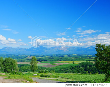 北海道的壯麗景色：初夏的修實之丘和大雪山 116174636