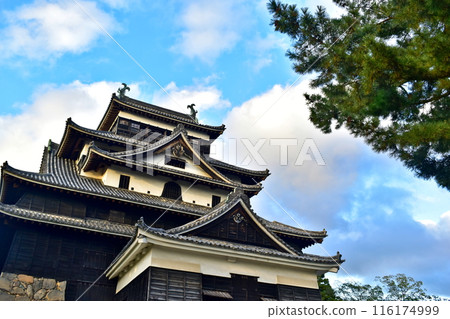 Shimane Matsue Matsue Castle 116174999