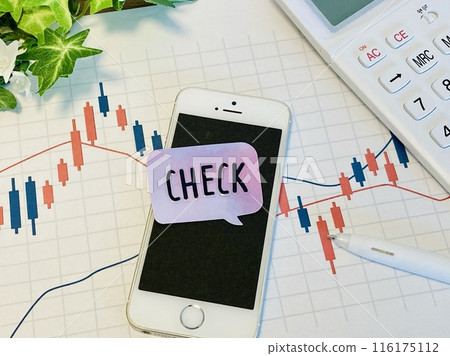 Stock price chart, smartphone and the word "check" 116175112