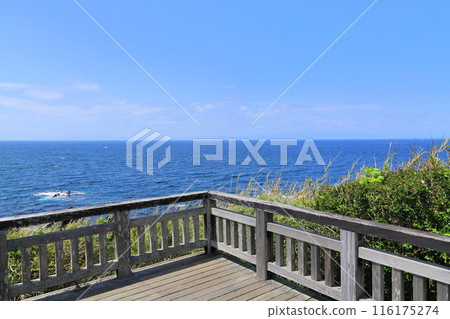 Arasaki Coast 116175274
