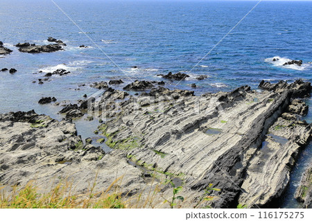 Arasaki Coast 116175275