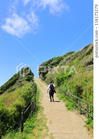 Arasaki Coast 116175279