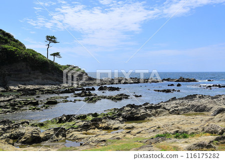 Arasaki Coast 116175282