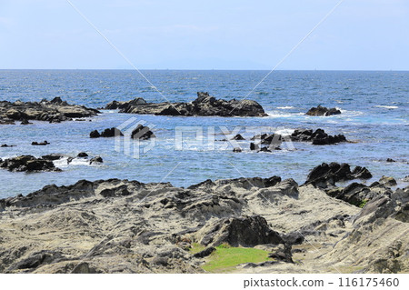 Arasaki Coast 116175460