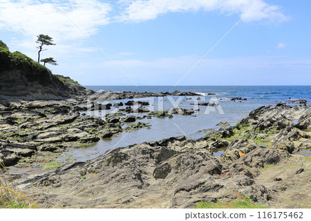 Arasaki Coast 116175462