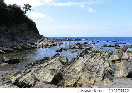 Arasaki Coast 116175470
