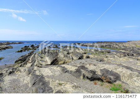 Arasaki Coast 116175477