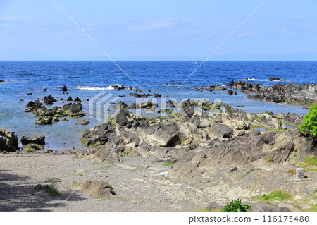Arasaki Coast 116175480