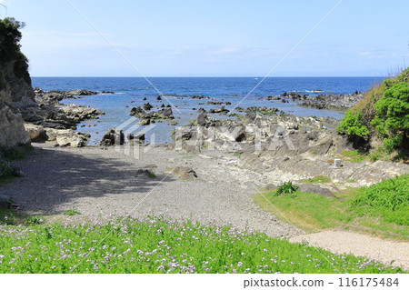 Arasaki Coast 116175484