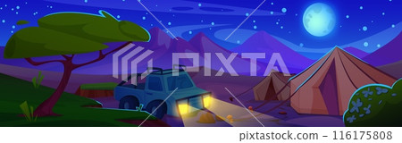 Camp tents and car in African savannah at night 116175808