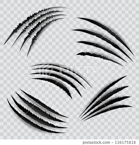 Claw marks in various styles on a transparent background. Vector 116175818
