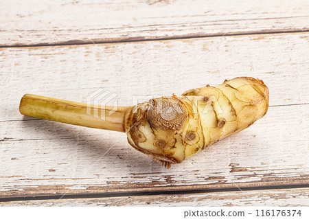Raw galangal root seasonong aroma 116176374