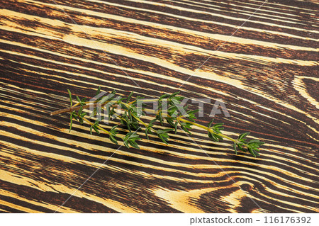 Aroma seasoning thyme stem with leaves 116176392