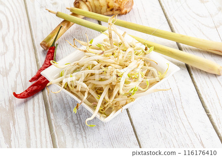 Asian cuisine Mash bean sprout 116176410