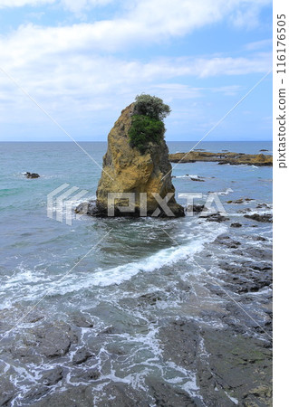 Akitani海岸 116176505