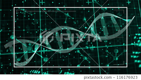 Image of scientific data processing over dna strand on digital screens Image of scientific data processing over dna strand on digital screens 116176923