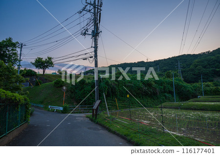 A peaceful scene at dusk A peaceful scene at dusk 116177401