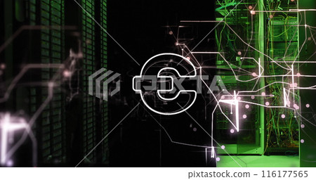 Image of euro symbol and glowing light trails against computer server room 116177565