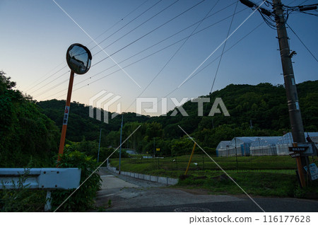 黃昏時的懷舊鄉村景觀 黃昏時的懷舊鄉村景觀 116177628
