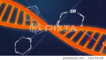 Image of dna strand and data processing with chemical formula on black background Image of dna strand and data processing with chemical formula on black background 116178126