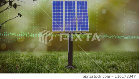 Image of data processing over solar panel on grass against spots of light 116178347