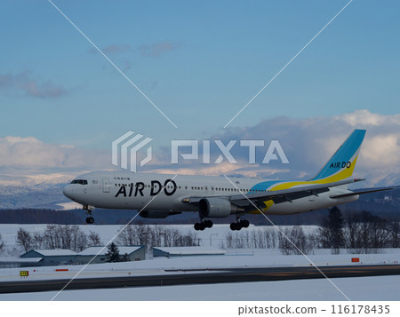 Wings of Hokkaido AirDo 116178435