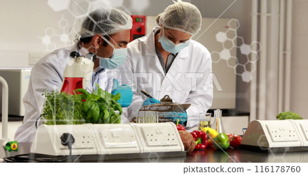 Image of caucasian doctors over data processing Image of caucasian doctors over data processing 116178760