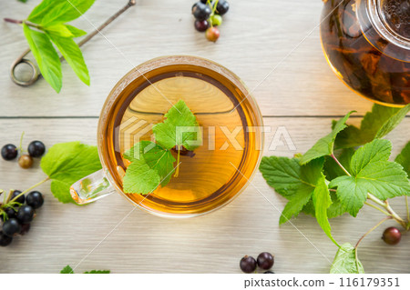 herbal tea from currant leaves and berries 116179351