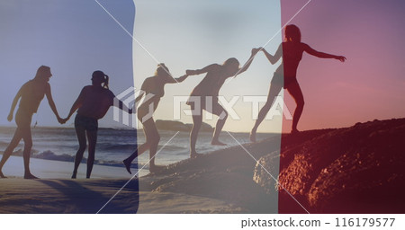 Image of flag of france over diverse friends at beach 116179577